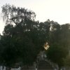 Parque de Jesús (9)